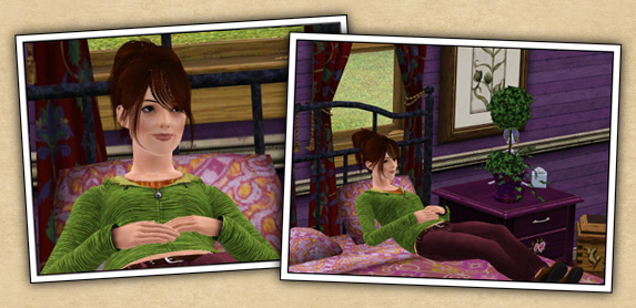 Around the Sims 3