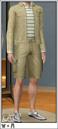 http://www.aroundthesims3.com/clothes/images/img_ma/casual_classicsport_tweedbeige.jpg