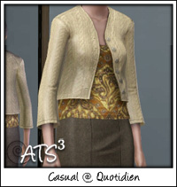 Around the Sims 3