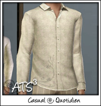 Around the Sims 3