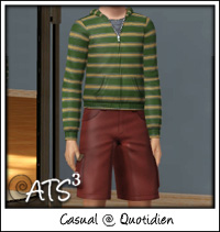 Around the Sims 3
