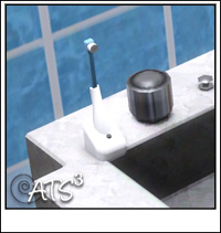 http://www.aroundthesims3.com/objects/images/deco_bathroom/toothbrush03.jpg