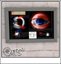 Around the Sims 3