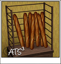 Around the Sims 3