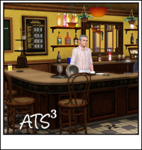 Around the Sims 3
