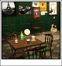 Around the Sims 3
