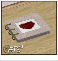 Around the Sims 3