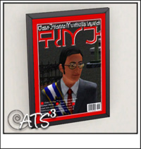 Around the Sims 3
