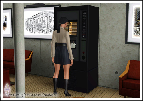 Around the Sims 3
