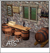 Around the Sims 3