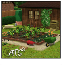 Around the Sims 3