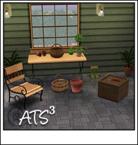 Around the Sims 3