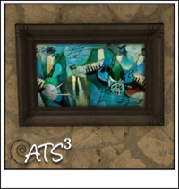 Around the Sims 3
