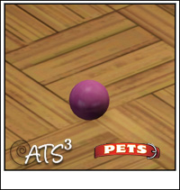 Around the Sims 3