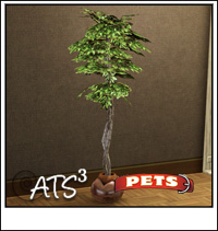 Around the Sims 3