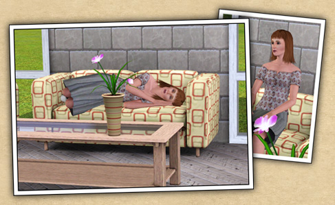 Around the Sims 3