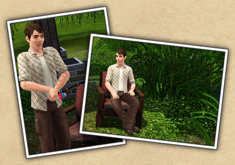 Around the Sims 3