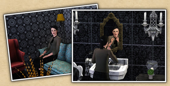 Around the Sims 3