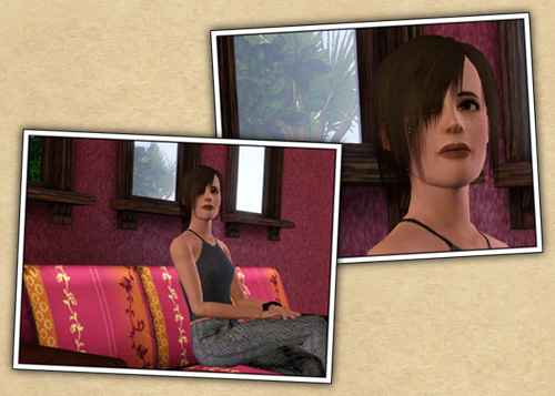 Around the Sims 3