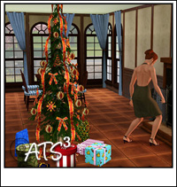 Around the Sims 3