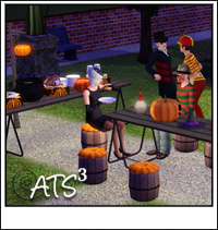 Around the Sims 3