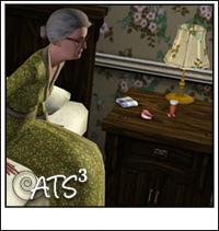 Around the Sims 3