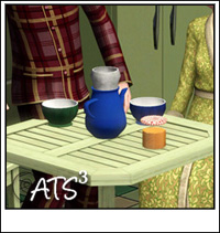 Around the Sims 3