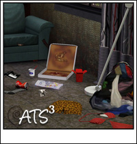 Around the Sims 3