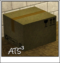 Around the Sims 3