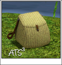 Around the Sims 3