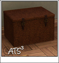 Around the Sims 3