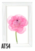 http://www.aroundthesims3.com/sims4/objects/files/paintings_ikeapostcards3/flowers-photo.jpg